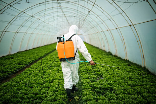 Best Affordable Pest Control Services  in Waverly, MN