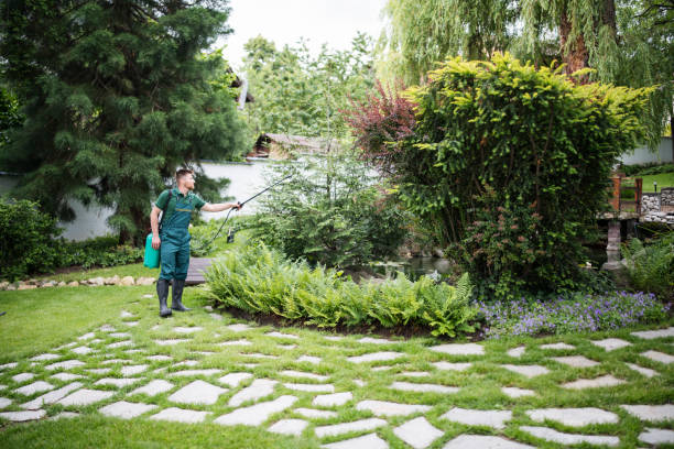 Wasp Removal Services in Waverly, MN