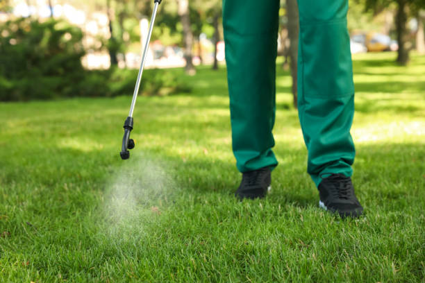 Best Rat Extermination Near Me  in Waverly, MN